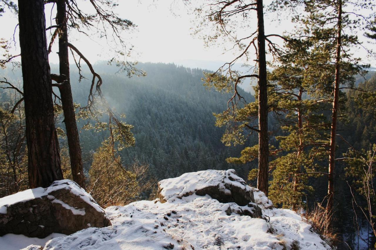 Cakyho Kuria - Mezonetovy Apartman S Krbom A Saunami Smižany Buitenkant foto