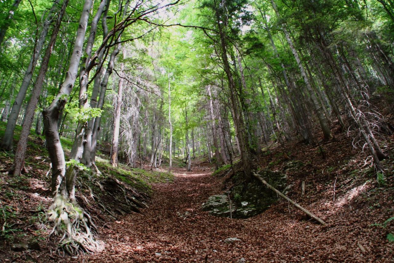 Cakyho Kuria - Mezonetovy Apartman S Krbom A Saunami Smižany Buitenkant foto